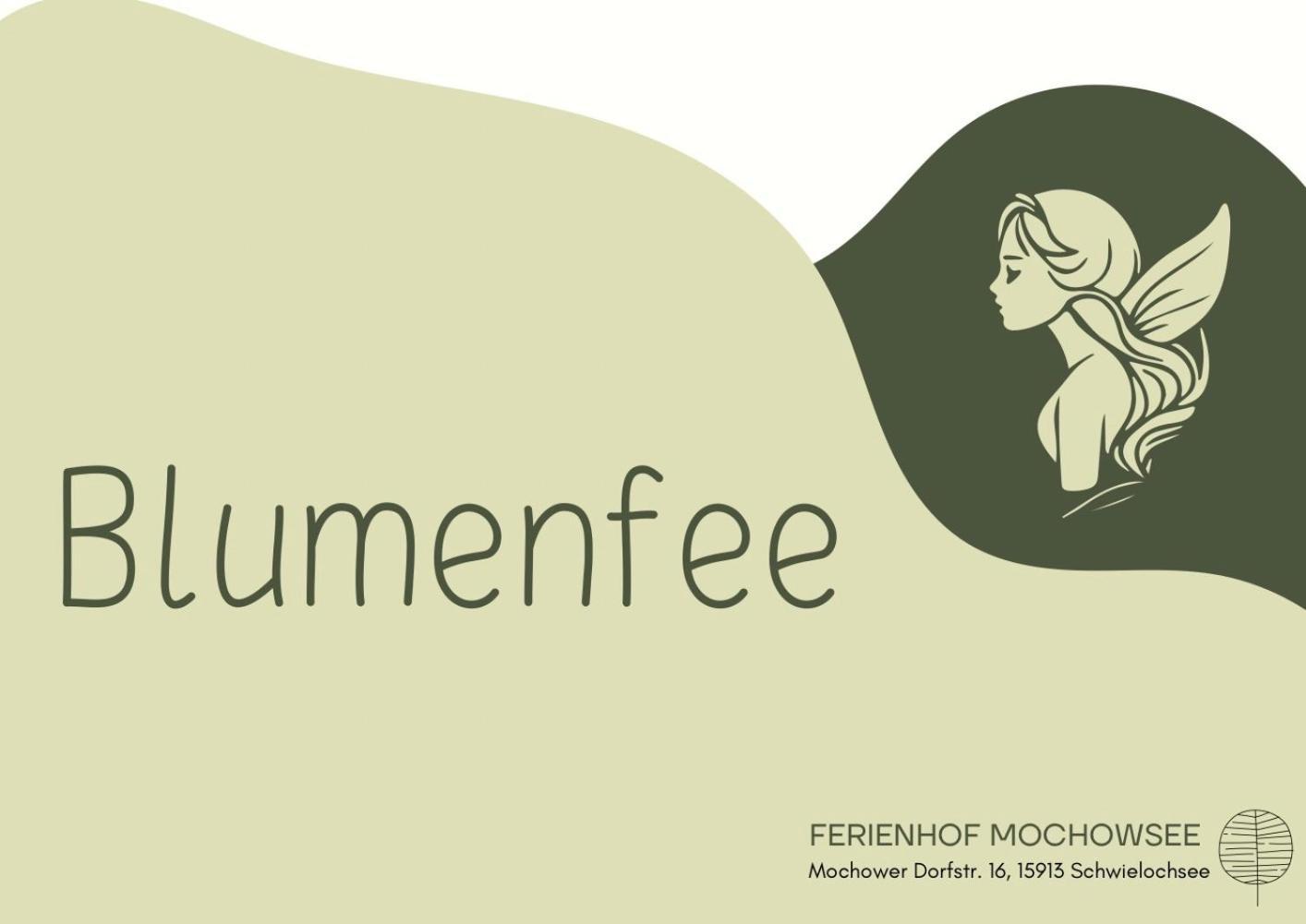 Ferienhof Mochowsee Schwielochsee Ruang foto