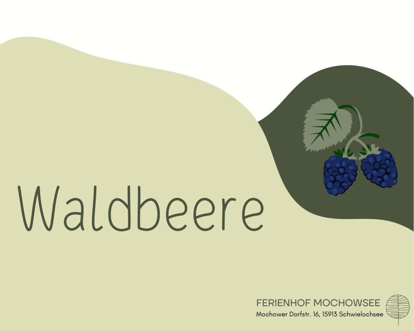 Ferienhof Mochowsee Schwielochsee Ruang foto